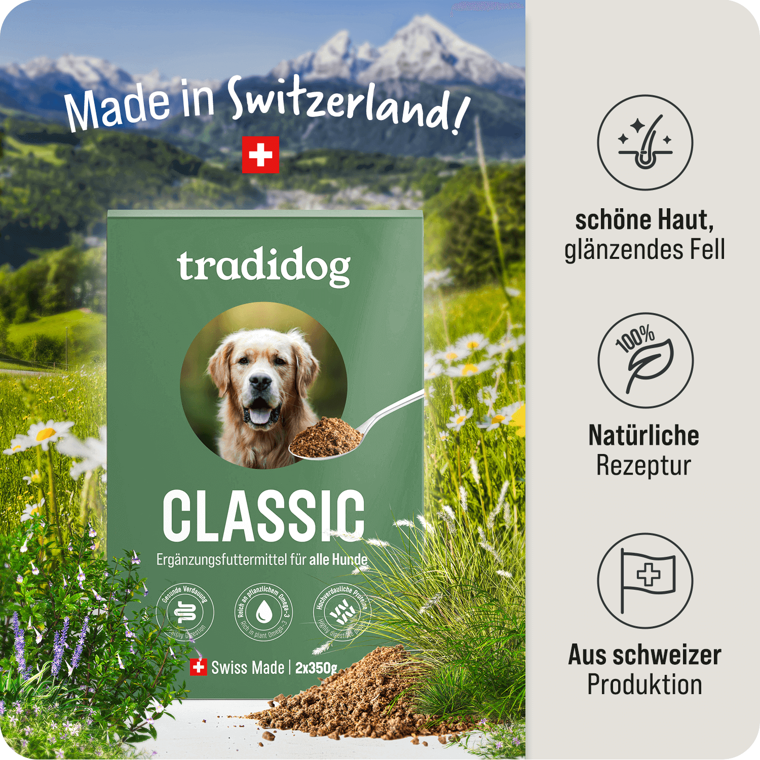 Starter Set - CLASSIC